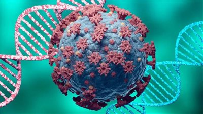 تايلاند تسجل 9539 إصابة و86 حالة وفاة بكورونا 