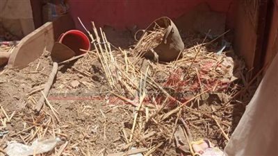 مصرع طفل إثر سقوط سقف منزل معرش ببنها