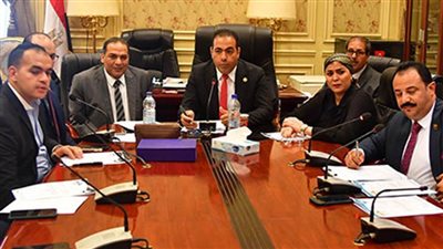 التخطيط: تخصيص 110 ملايين جنيه لمديريات الشباب وخطة خمسية للانتهاء من المشروعات