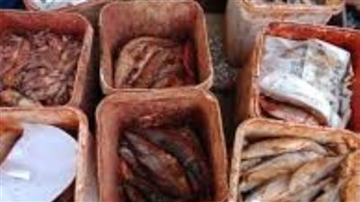 ضبط  4 أطنان و200 كيلو أسماك غير صالحة للاستخدام الآدمي بكفر الشيخ