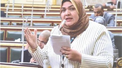 النائبة أمل زكريا مديرًا لفرع المجلس القومى للطفولة والأمومة بالبحيرة