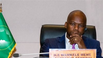  أمين عام منطقة التجارة القارية: العملة الموحدة لإفريقيا قابلة للتحقيق