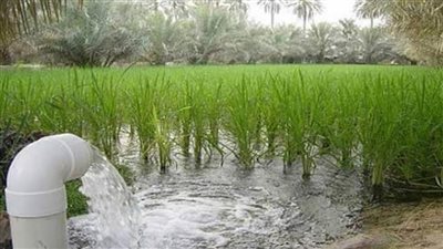 المركزي للإحصاء: 6.5 مليار م3 كمية مياه الصرف الزراعي المعاد استخدامها