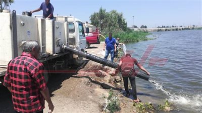  إلقاء 4 ملايين وحدة زريعة ببحيرة البرلس في كفر الشيخ
