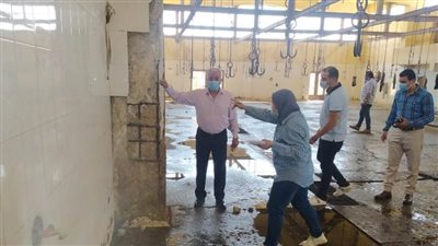 ننشر تفاصيل تقرير عمل لجنة المرور على المجازر ببني سويف