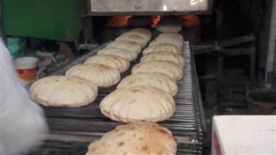 تحرير ١٩ مخالفة لمخابز بلدية فى حملة تموينية بكفر الدوار