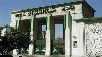 رئيس حدائق الحيوان : انتهاء الاستعدادات لاستقبال الجمهور خلال أيام عيد الأضحى