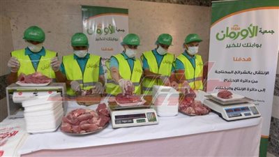 ذبح 30 عجلا وتوزيعها على المستحقين خلال عيد الأضحى بـ”المنوفية“