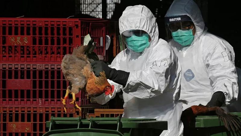 صورة ارشيفية