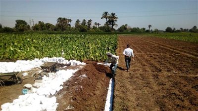 استعدادًا لاستقبال عيد الأضحى المبارك.. حملات مكثفة للنظافة والتموين بمركزي المنيا والعدوة