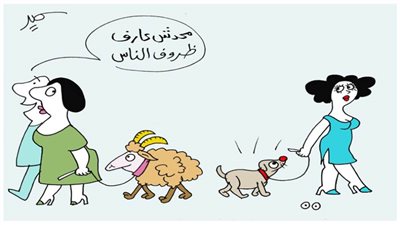 خروف في نزهة