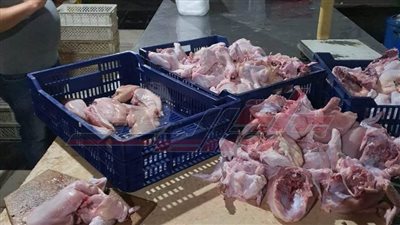 ضبط 5 أطنان دواجن مذبوحة خارج السلخانة بكفر الشيخ