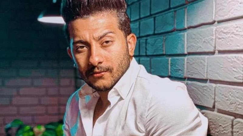 الفنان محمود الشيمي