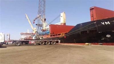 تفريغ 4997 رأس ماشية بميناء غرب بورسعيد