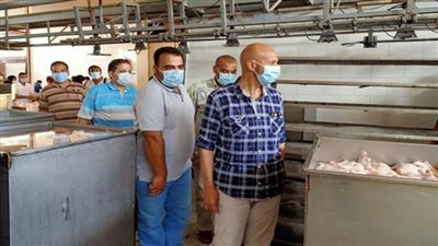 غلق مجزر للدواجن وإعدام 20 طنا من الأغذية بالشرقية