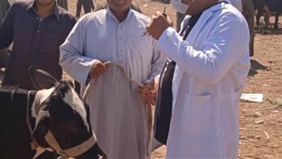 البحيرة.. متابعة مشددة لأسواق المواشي لمنع انتشار الأمراض الحيوانية بين الأضاحي