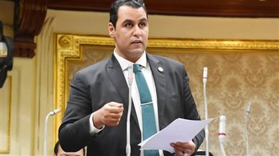 برلماني: حياة كريمة ستعمل على خفض معدلات البطالة وتفشل مخططات قوى الشر