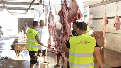 توزيع لحوم 30 عجلا بلديا مجانا في 17 قرية بالبحيرة