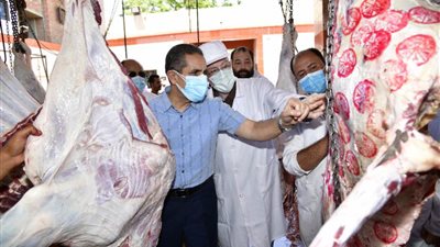 محافظ الغربية يتابع سير العمل بمجزر السنطة