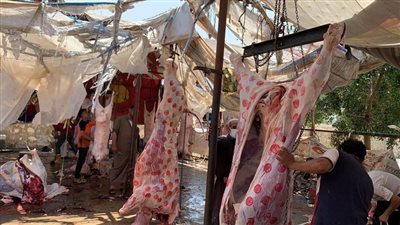 تعرف على إجراءات ذبح الأضاحي بالمجازر في الدقهلية 