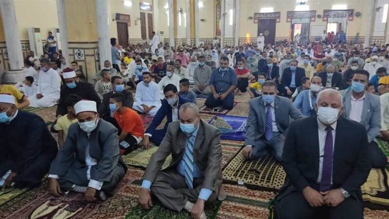 محافظ الوادى الجديد