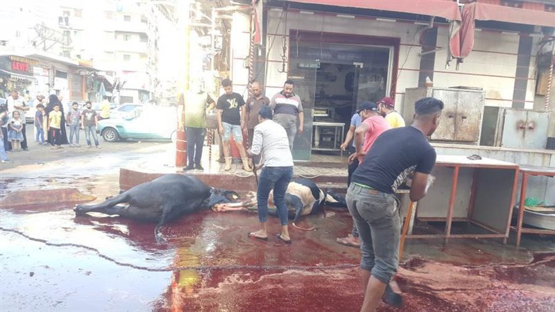 ممارسة شعيرة ذبح