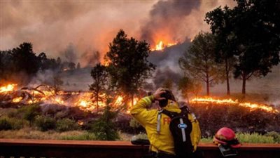 الطقس القاسي يزيد حرائق الغابات في ولاية أوريجون 