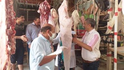 بيطري الشرقية يضبط طن لحوم مجهولة المصدر بمركز بلبيس