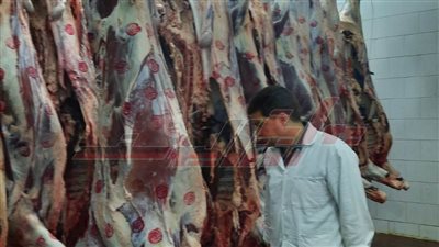 ذبح 369 أضحية خلال ثانى أيام عيد الأضحى بالقليوبية 