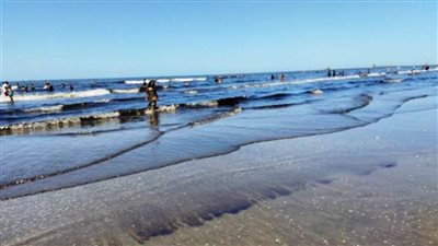 محافظة بورسعيد تبدأ التعامل مع بقعة الزيت التي ظهرت على شاطيء البحر 