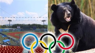 دب طليق يثير الرعب مع بداية منافسات أولمبياد طوكيو 2020