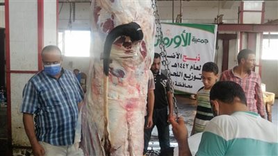 ذبح ١٠ عجول وتوزيعها على الأسر الأولى بالرعاية بقرى البحيرة