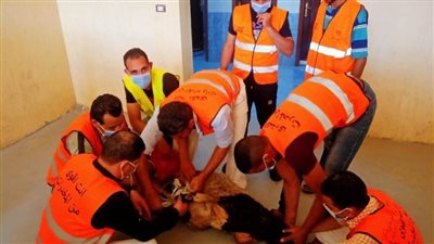 كيف يقضي المتعافون من الإدمان أيام عيد الأضحى المبارك داخل المراكز العلاجية