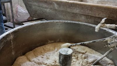 في رابع أيام العيد انتظام في أداء الخدمة التموينية بالإسكندرية