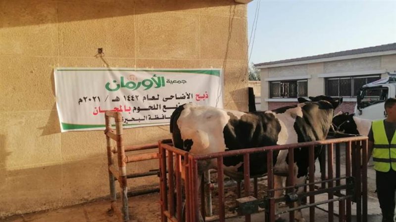 أورمان البحيرة تبدأ