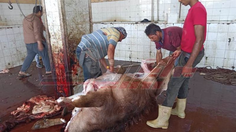 ذبح الأضاحي داخل