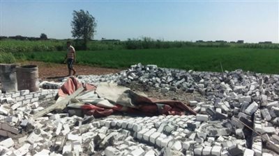 إزالة 14 حالة تعدٍ على الأراضي الزراعية بالبحيرة