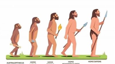 عاجل| رحلة جسم الإنسان عبر مليون سنة