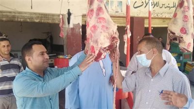 ضبط 26 طن لحوم وأسماك غير صالحة بكفر الشيخ