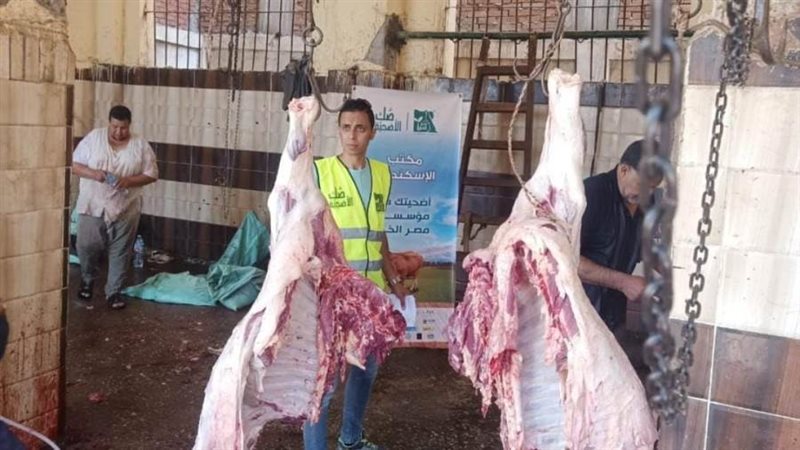 ذبح الأضاحى بمجازر