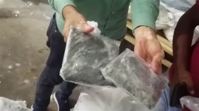 ضبط ٦ اطنان ملوخية منتهية الصلاحية فى حملة رقابية بالبحيرة