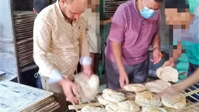 تحرير ١٥ محضرا فى حملة مكبرة للرقابة والمتابعة بالبحيرة