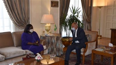 أبو الغيط يلتقي وزير خارجية جنوب السودان