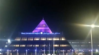 عاجل| إضاءة عدد من المعالم الرئيسية ضمن احتفالات مصر باليوم العالمي للكبد الوبائي