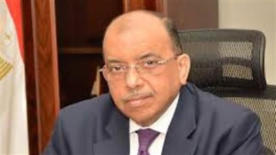 وزير التنمية المحلية: دعم مستمر لمكافحة الفساد بكافة صوره وأشكاله بالمحليات