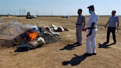 ضبط عدد من مناشر الأسماك النافقة بقرية بلطيم في كفر الشيخ