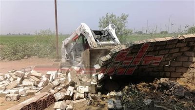 إزالة 3 حالات تعد على الأراضي الزراعية بكفر الشيخ