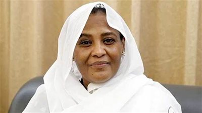 وزيرة خارجية السودان تبحث مع نظيرها الجزائري تطورات قضية سد النهضة