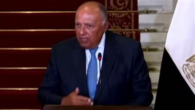 سامح شكري: نعمل لمواجهة التحديات التي تواجه مصر والجزائر