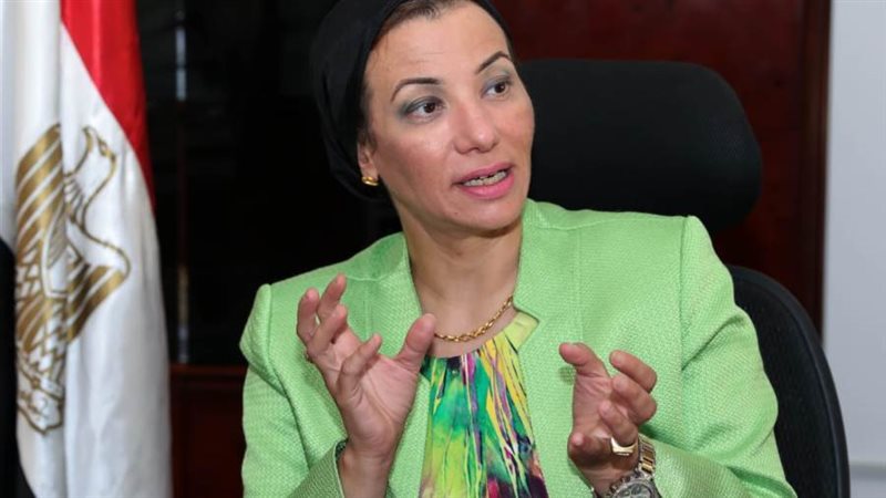 د.ياسمين فؤاد وزيرة